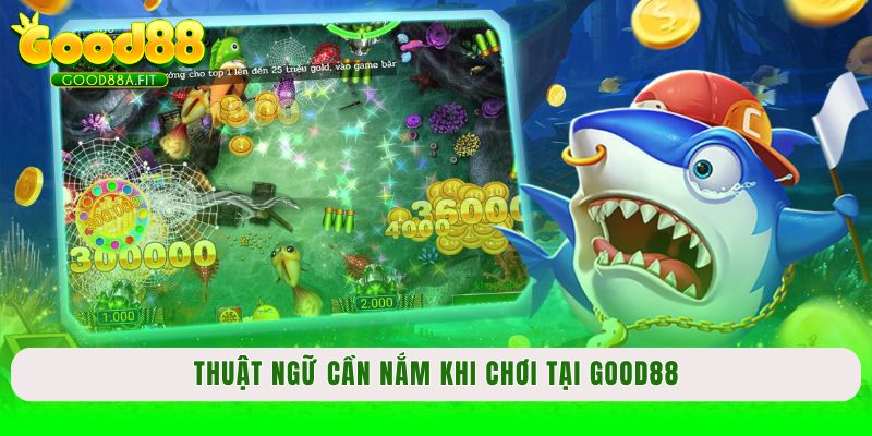 Thuật ngữ cần nắm khi chơi tại Good88